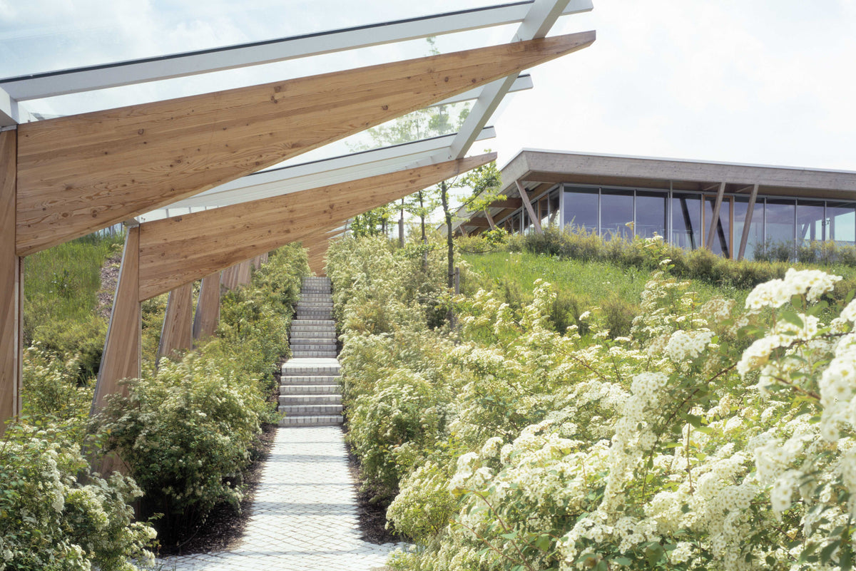 Green landscaped path leading to the MAC Jeans company building with wooden structures.