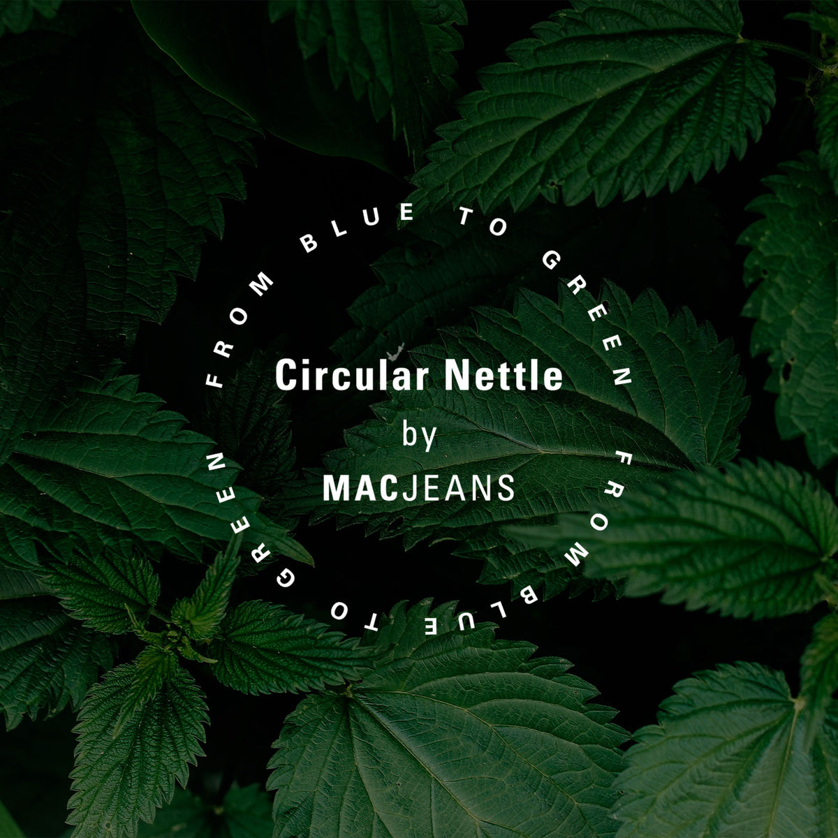 Circular Nettle - Brennessel Denim