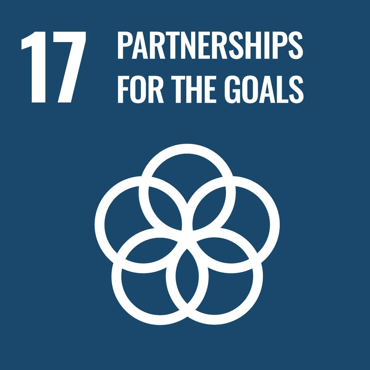 Icon representing UN Sustainable Development Goal 17: Partnerships for the Goals.