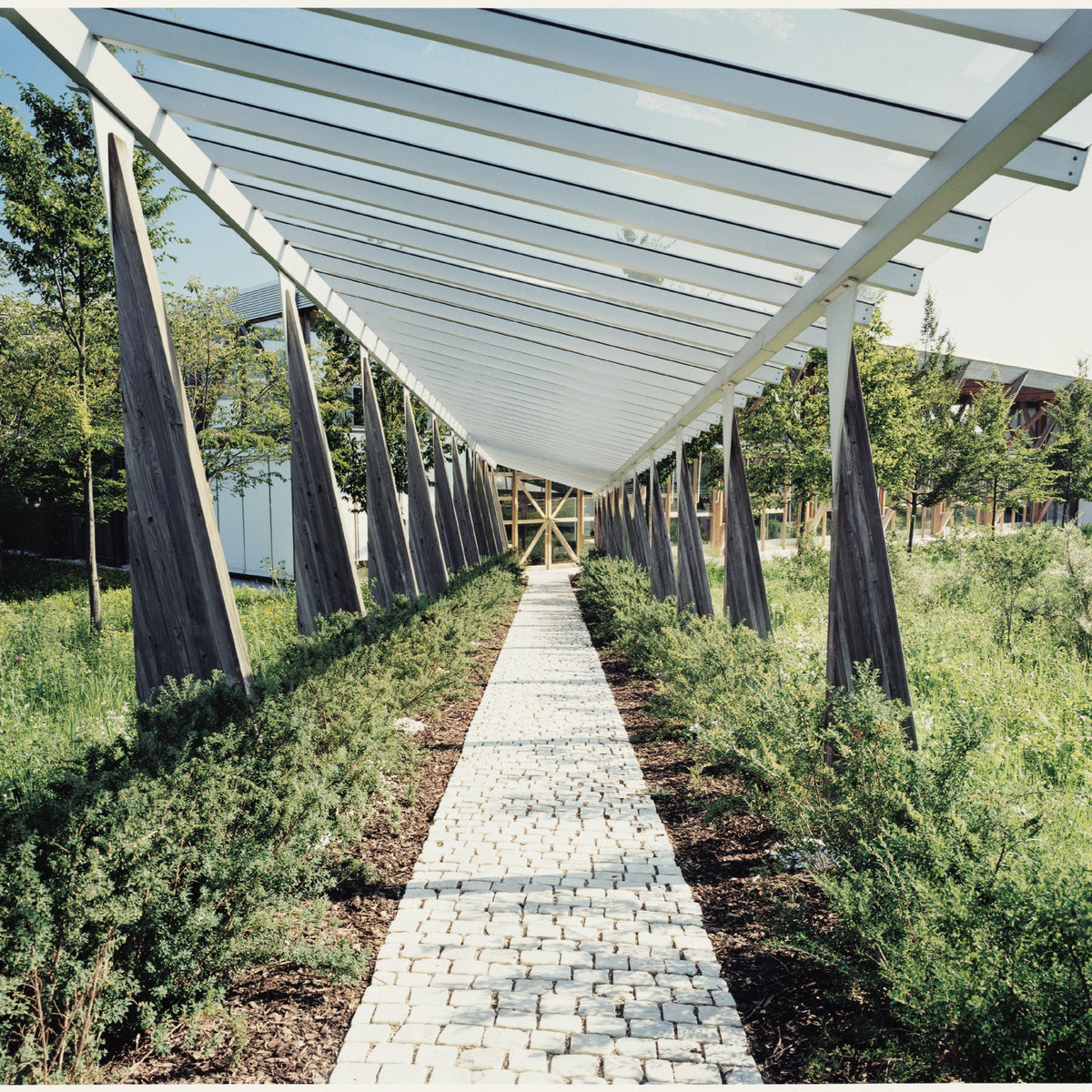 Covered walkway with wooden columns and greenery leading through the MAC campus.
