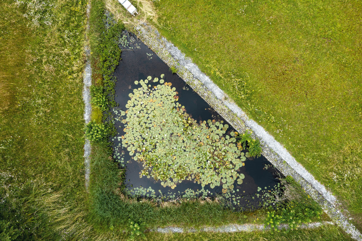 Aerial view of a triangular pond surrounded by green grass and vegetation.